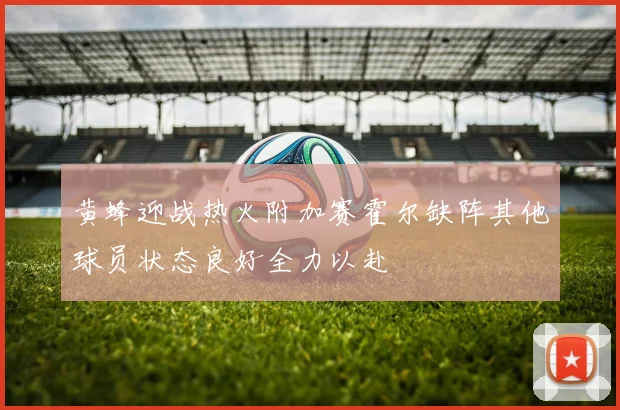 黄蜂迎战热火附加赛霍尔缺阵其他球员状态良好全力以赴